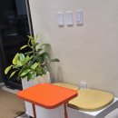 디어피피 펫푸드 앤 카페 | 애견수제간식 애견동반카페 디어피피 펫푸드 앤 카페