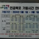 용마폭포공원 | 서울 산책하기 좋은 인공폭포명소 &#39;용마폭포공원&#39; 방문후기