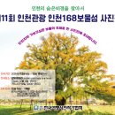 12월6일(금) 제11회 인천관광 168보물섬 사진전 오프닝 (추천서) 숨은비경을 찿아서 이미지