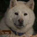 오떡순 이미지
