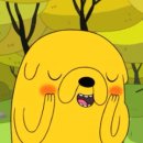 밤새