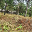 강미진공인중개사사무소 이미지