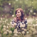 신화행정사사무소 이미지