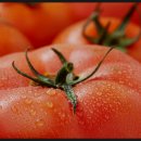 둔내복합체육센터 이미지