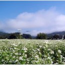 어느가을 오후 이미지