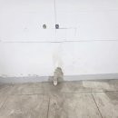 성당동행정복지센터 이미지