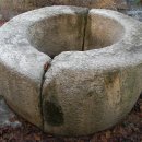 회화나무 도서관 이미지