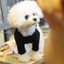 개린이 하우스 이미지