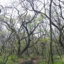 상림민박 이미지