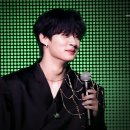 가지스테이 이미지