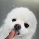 루이야 놀고 자고 GO 이미지