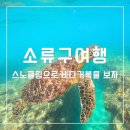 베어 워시(Bear Wash) | 소류구 스노쿨링 거북이 포인트 정리 업체/셀프 이용 후기