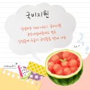 컴퓨터활용능력2급(필기+실기) 이미지