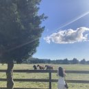 협재차경 별뉘 이미지