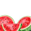 미래로21 이미지