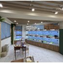 강아지와고양이 이미지