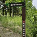 북구청건너 버스정류장 이미지