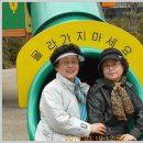 서인천자동차 이미지