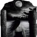 애너벨리 이미지