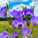 미래가정의원 이미지