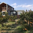 제주고옥 이미지