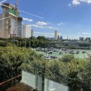 짐쉐이프 이미지