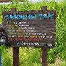 장다리천 이미지