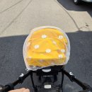 울산 남구 옥동 행정복지센터 이미지