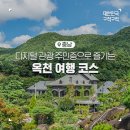 환평약초체험마을영농조합법인 | 옥천 전통문화 체험관, 수생식물학습원, 달빛마을, 서대산 드림 캠핑파크, 옥천 가볼 만한 곳, 옥천...