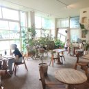 책읽는카페노리 | 하남미사 브런치카페 &#34;수우(SOOWOO) 조용히 작업도 하고 책도 읽는 현지인 추천 카페 내돈내산 후기