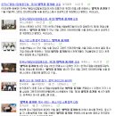 스톤 협동조합 이미지