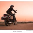 케논목장 이미지