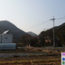 장안사진입로 이미지