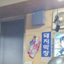 갓다올 | 영주시티투어 토요일 물돌이코스 혼여행 후기