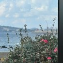 함박1천 | 서귀포 남원 위미 테이블앤데스크 솔직 후기 (함박+오믈렛+가지튀김)