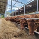 합천축산업협동조합 섬유질사료공장 이미지