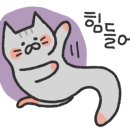 미선야채