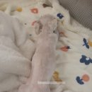 간식파는남자 이미지