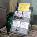 스시세븐 이미지