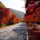 수원-0780 이미지