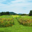 (주)보석골프 이미지