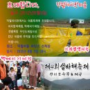 덕월아이펀마을 네이버블로그
