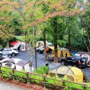 장태산자연휴양림 캠핑장 이미지