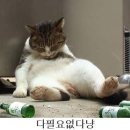 하단역 이미지
