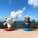 저단49 | 평창) 청옥산 차박성지, 차박 후기부터 주차장 꿀팁, 별부터 별똥별 볼 수 있는 곳, 평창 계곡 스팟까지...