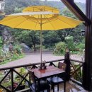 드리밍하우스 이미지