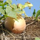 아름다운시절 이미지