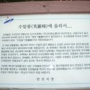 박을천 Daum카페