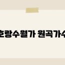 호랑 이미지