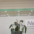 베리띵즈(verythings)